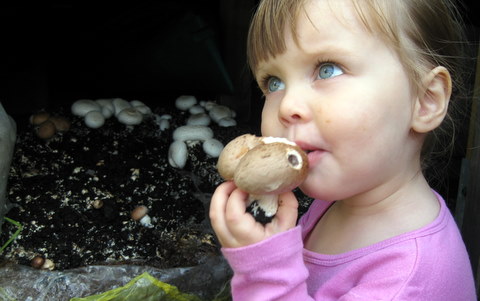 девочка есть сырой гриб