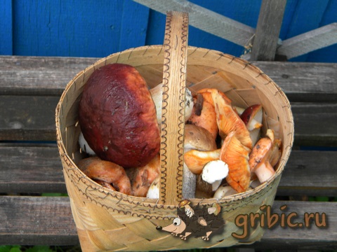 Плетеная корзинка с грибами, Wicker basket with mushrooms