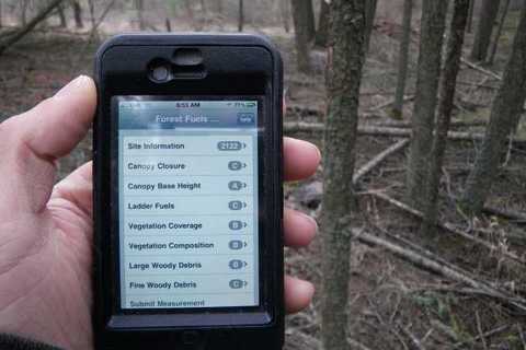 зачем брать в лес, сотовый телефон,смартфон, GPS-приемник, что взять с собой, необходимые вещи