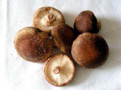 Полезные свойства, гриб шиитаке, Полезные свойства гриба шиитаке
