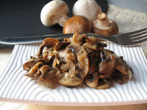 как хранить свежие грибы, заготовка грибов